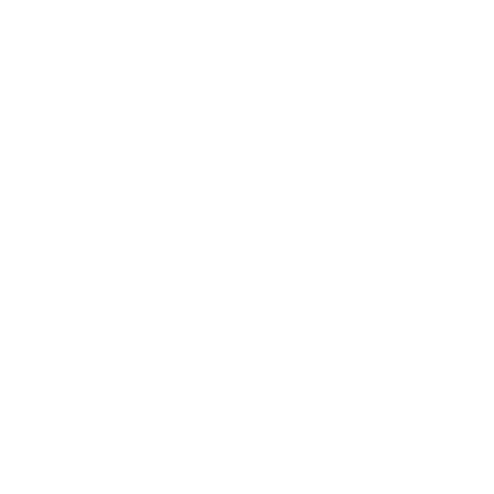 Alma House Services